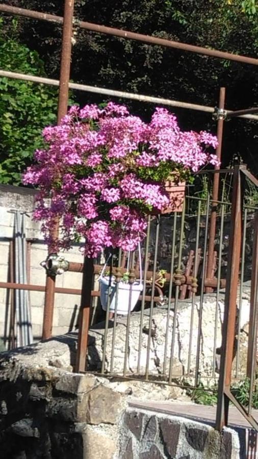 Maison De Marina B&B Piano di Follo 외부 사진